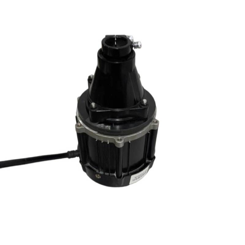 Motor fueraborda sin escobilla - Fishing Boat Trailer reseña y precio
